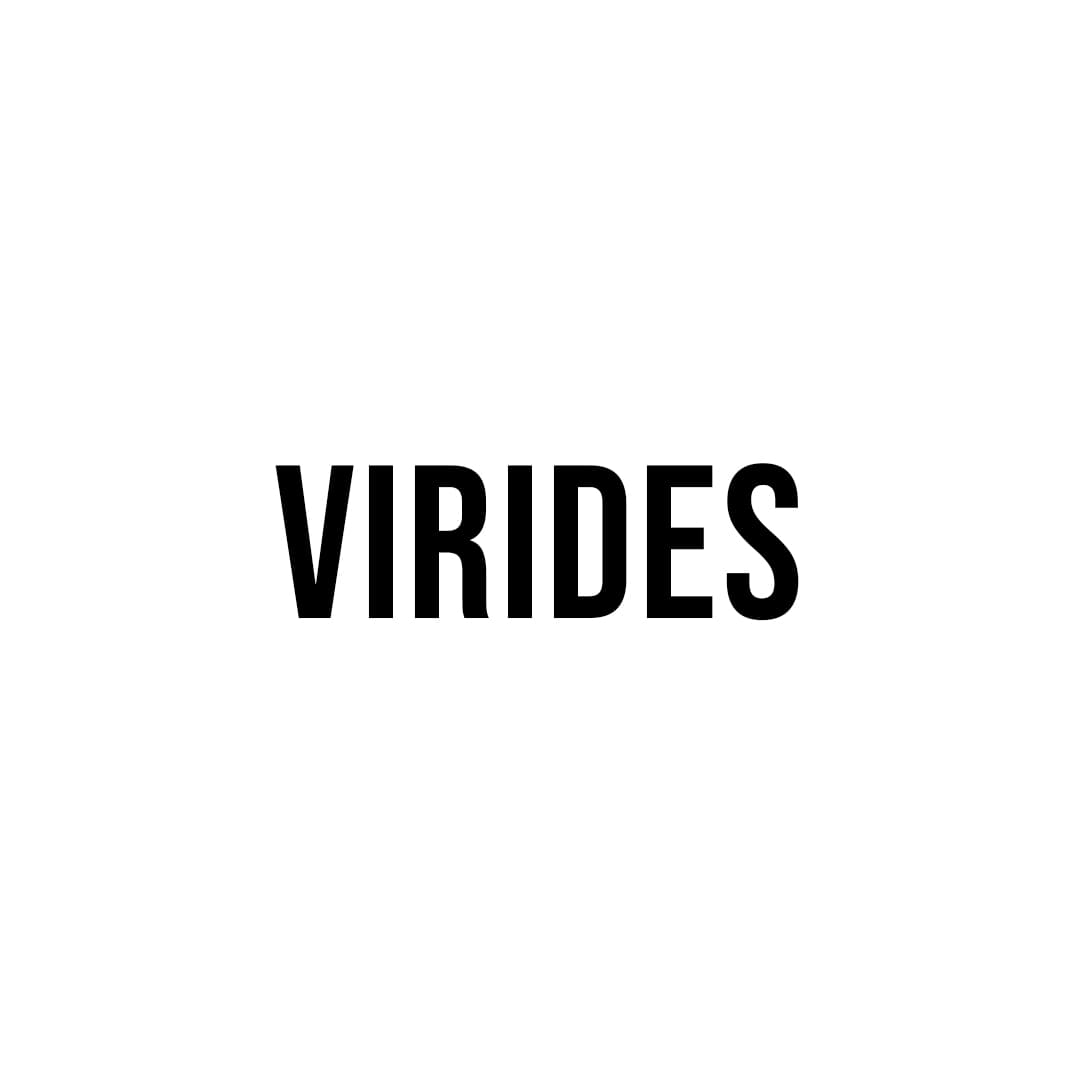 VI Rides Arcade